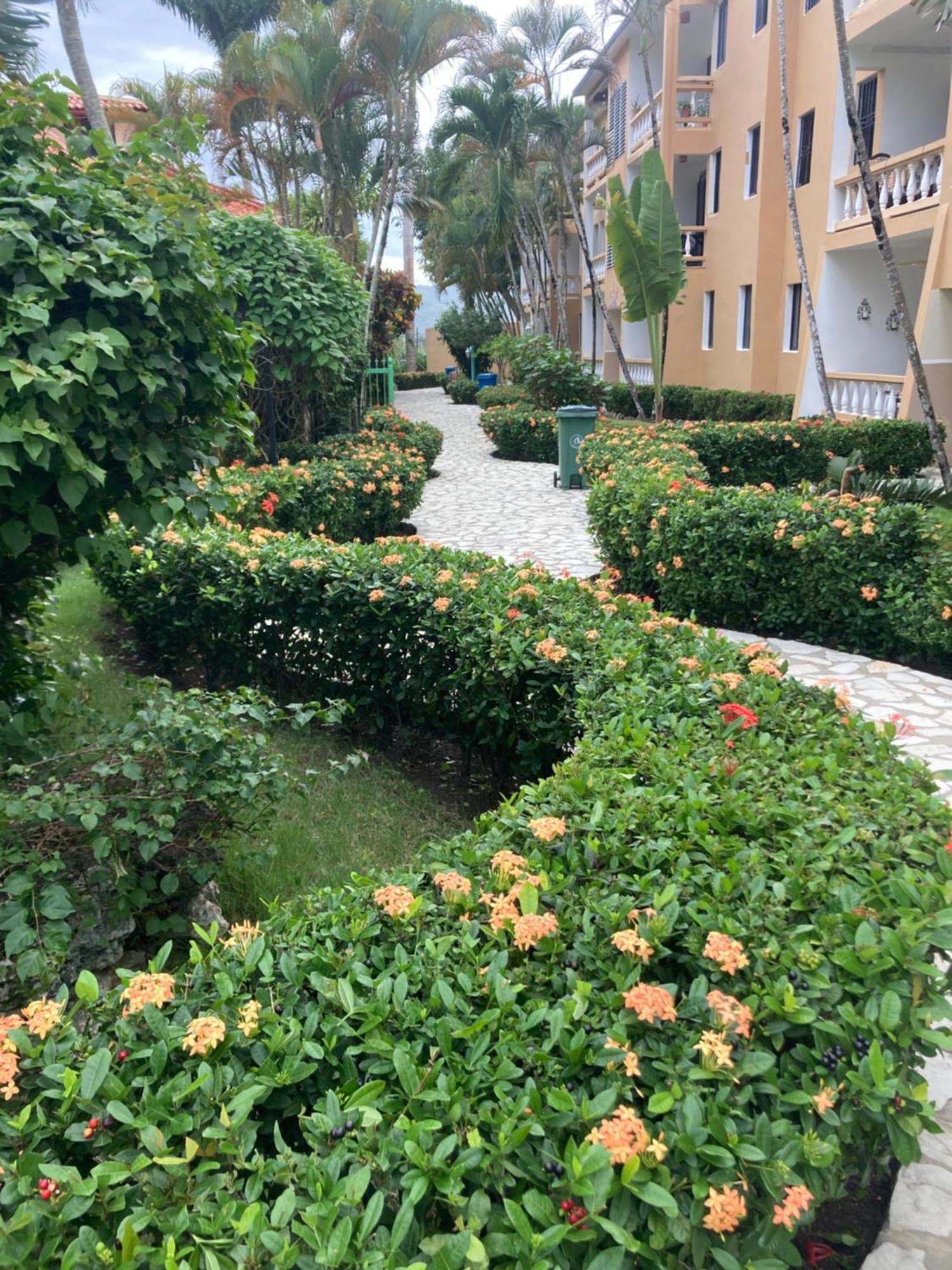 Cita Del Sol City Apartments Cabarete ภายนอก รูปภาพ
